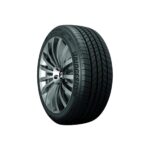 BRIDGESTONE      225/55   R19    99H   EP4H